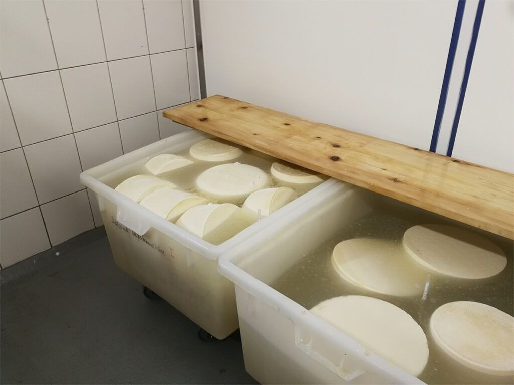 Galeriebild