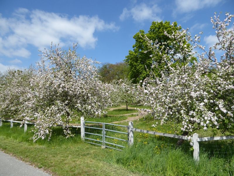 Galeriebild